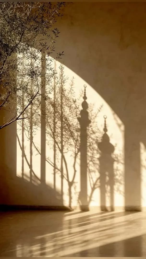 A Journey of Growth & Reflection